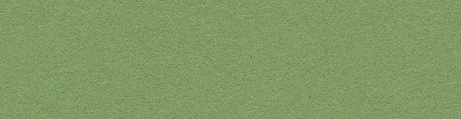 Linoleum Green